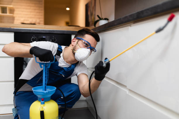 Best Pest Prevention Services  in Lake Camelot, IL