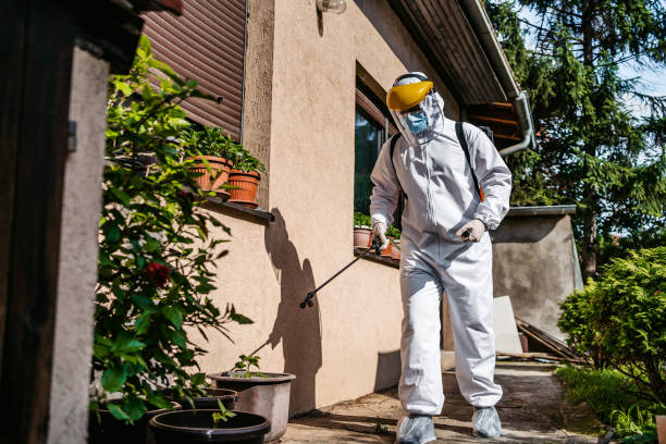 Best Pest Inspection Near Me  in Lake Camelot, IL