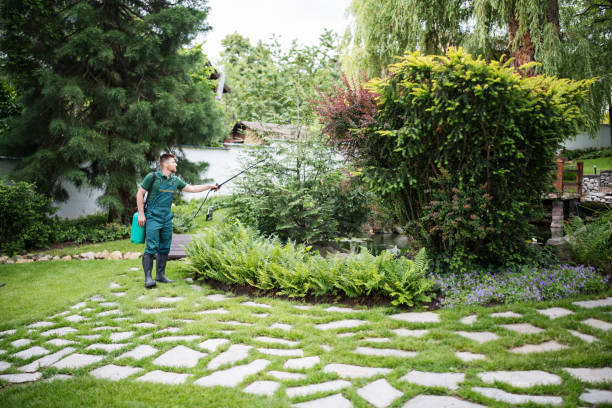 Best Residential Pest Control  in Lake Camelot, IL