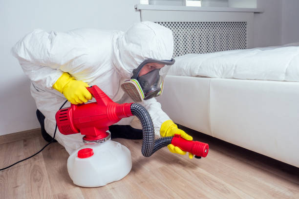 Best Emergency Pest Control  in Lake Camelot, IL