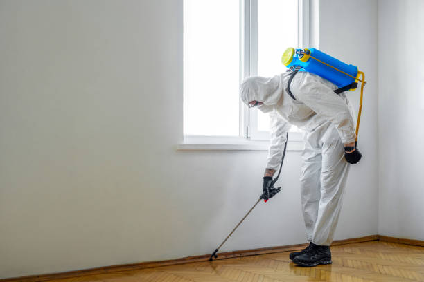 Best Wasp Removal Services  in Lake Camelot, IL