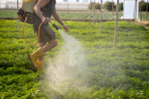 Best Affordable Pest Control Services  in Lake Camelot, IL