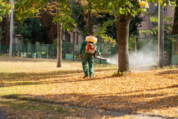 Flea Control Services in Lake Camelot, IL